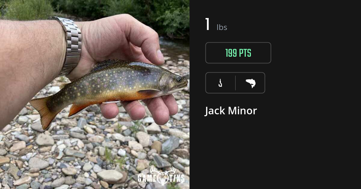 saltwater_fish harvest by Jack Minor