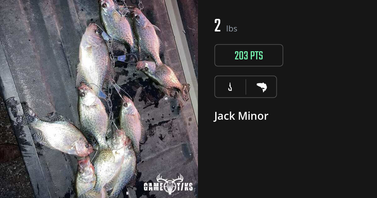 saltwater_fish harvest by Jack Minor