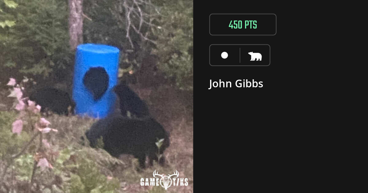 Bear harvest on Gametiks