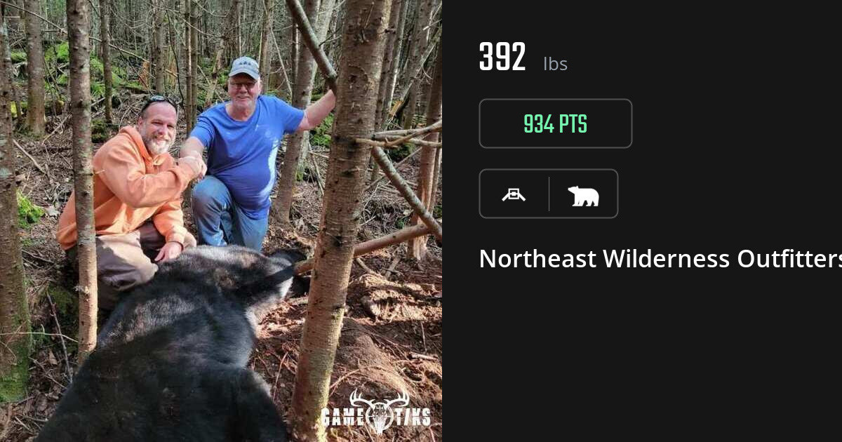 Bear harvest on Gametiks