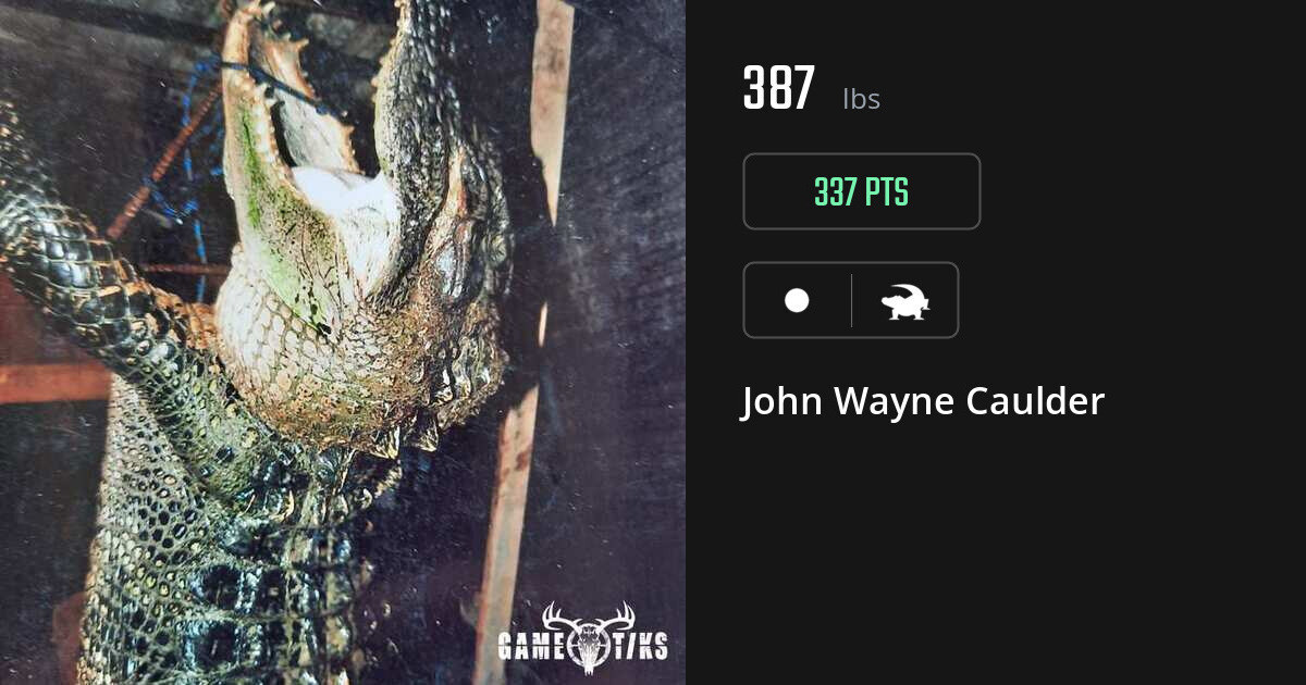 gator harvest by John Wayne Caulder