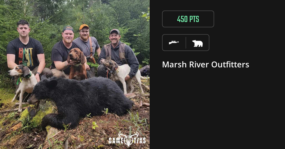 Bear harvest on Gametiks