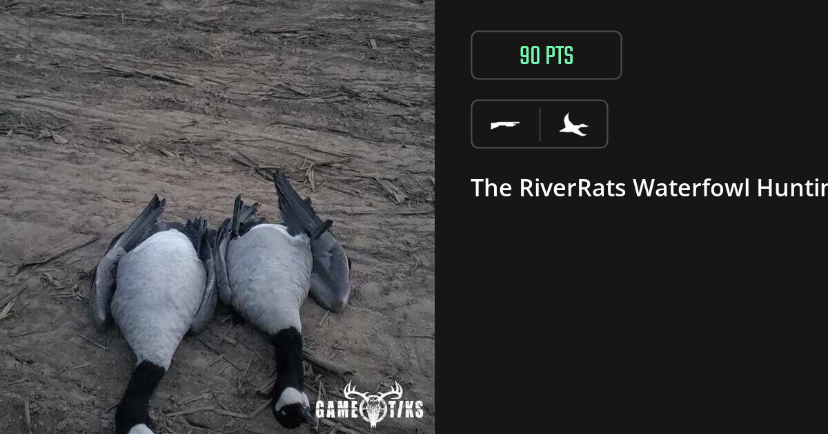 Waterfowl harvest on Gametiks