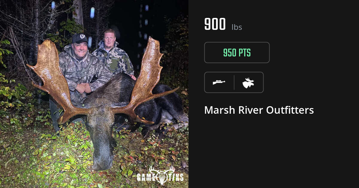 Moose harvest on Gametiks