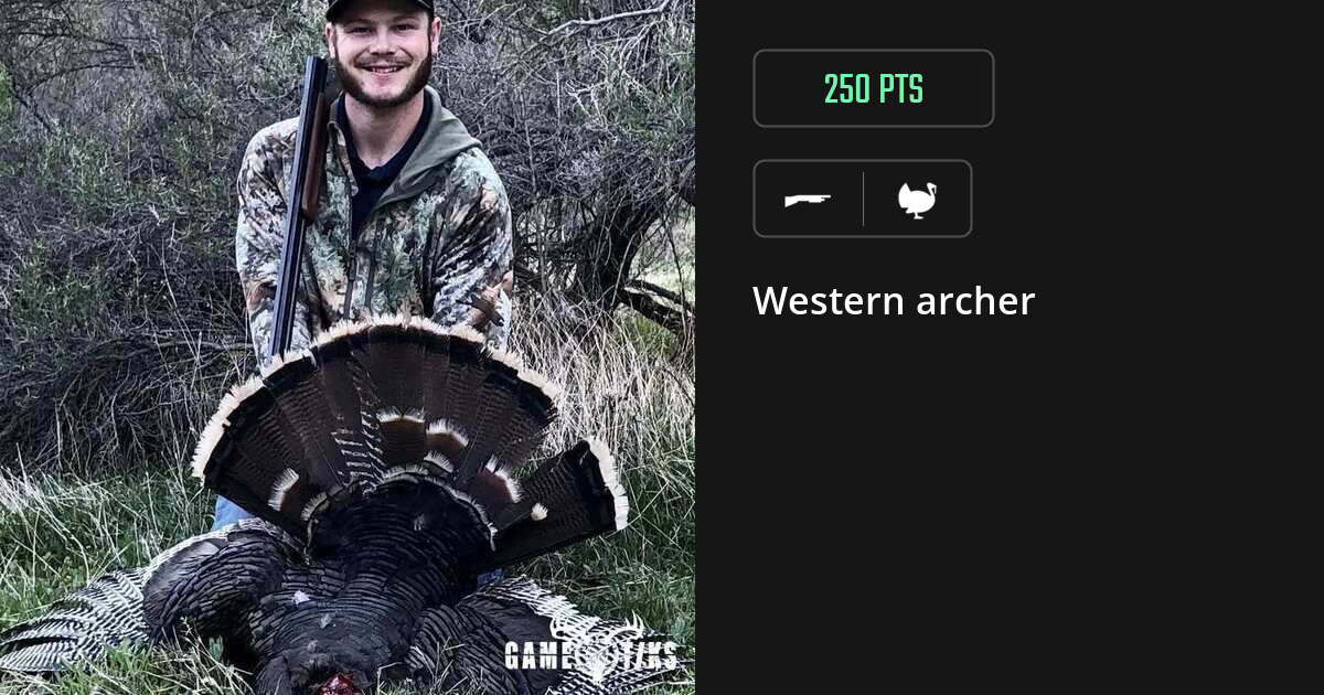 Turkey harvest on Gametiks