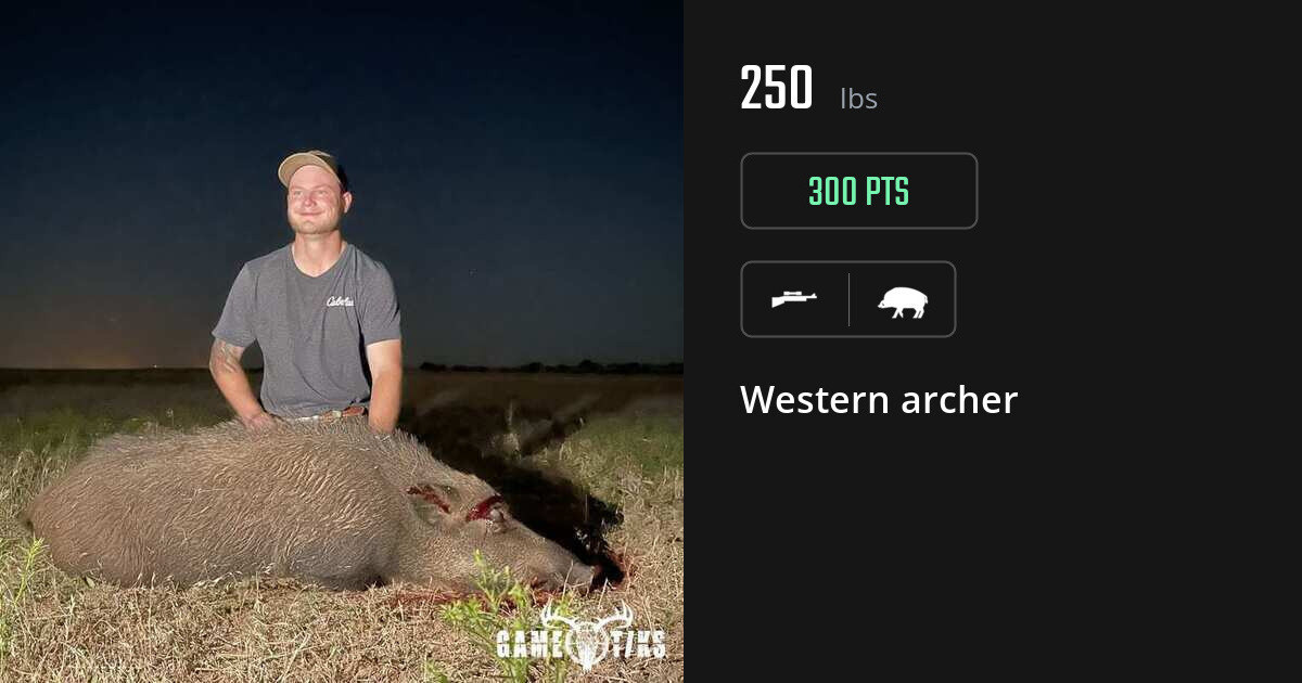 Boar harvest on Gametiks