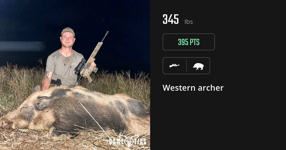 Boar harvest on Gametiks