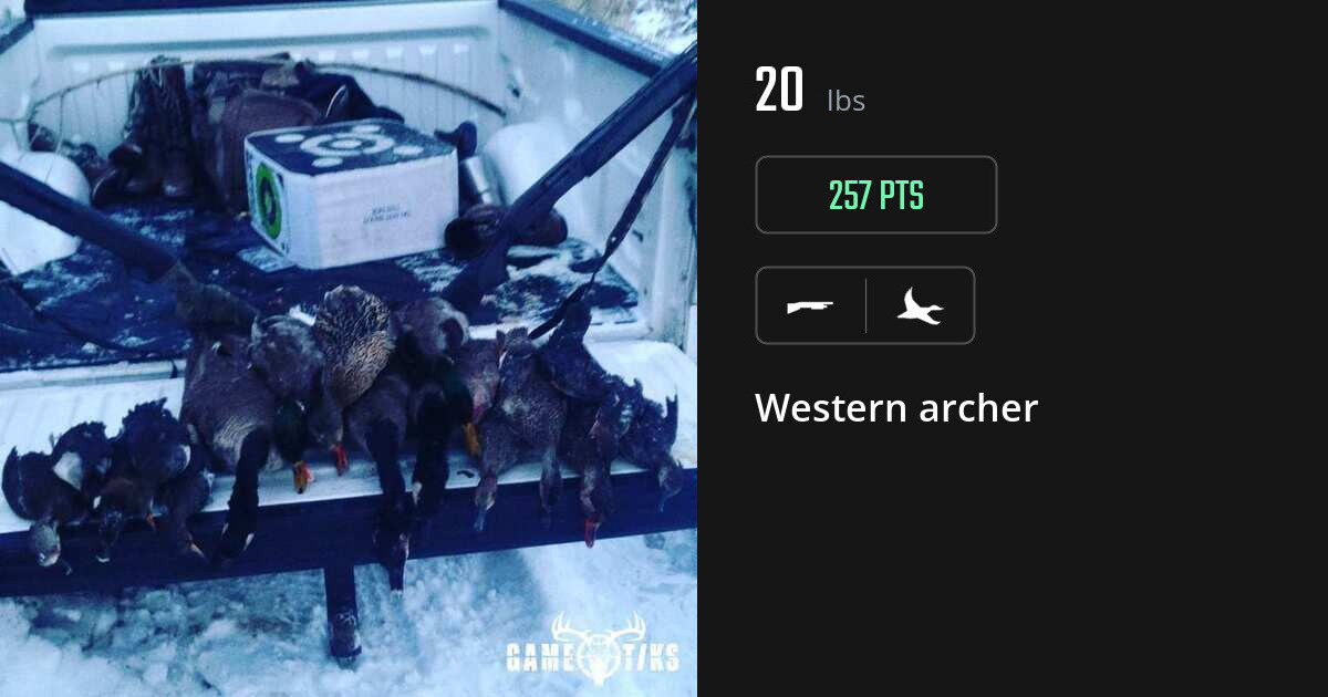 waterfowl harvest by Western archer