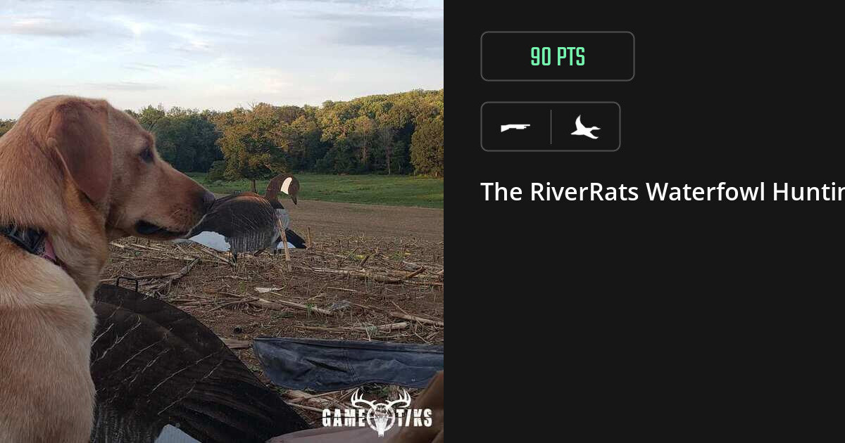 waterfowl harvest by The RiverRats Waterfowl Hunting