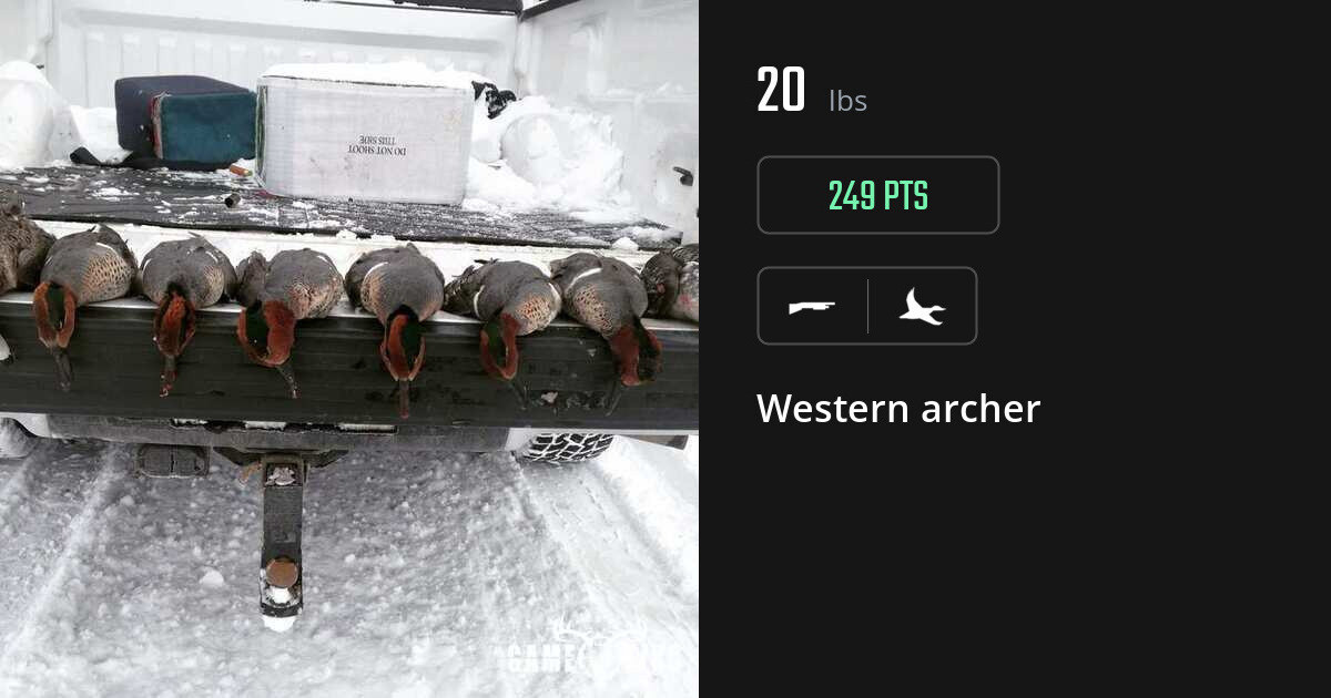 waterfowl harvest by Western archer