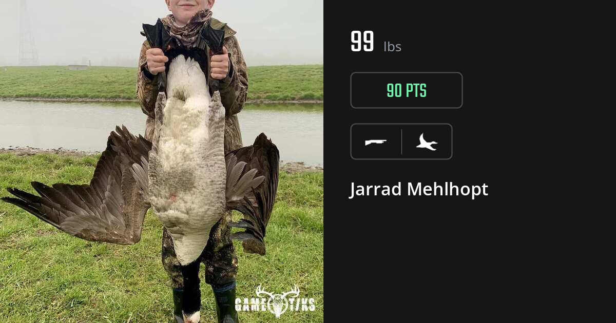 Waterfowl harvest on Gametiks
