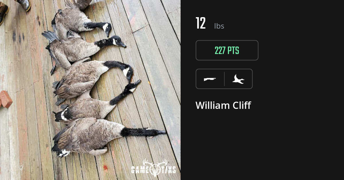 Waterfowl harvest on Gametiks