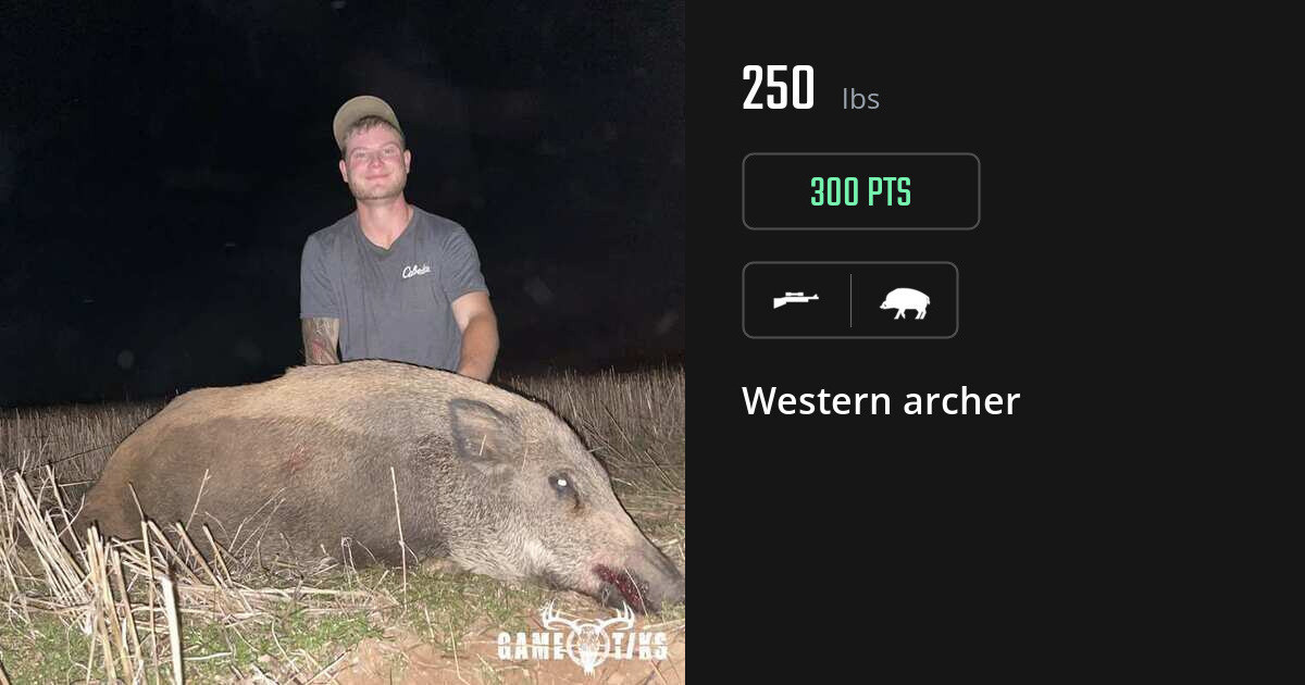boar harvest by Western archer