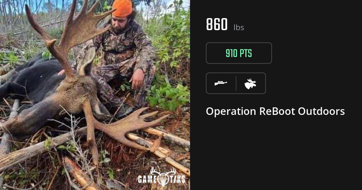 Moose harvest on Gametiks