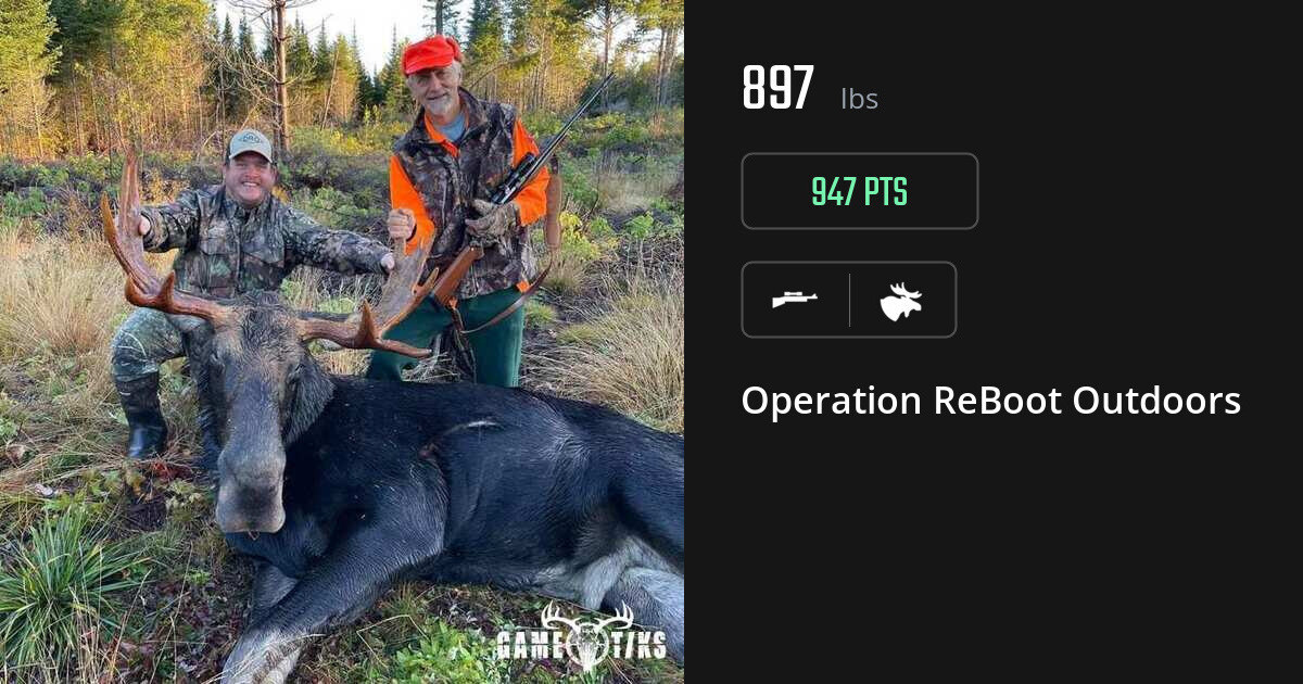 Moose harvest on Gametiks