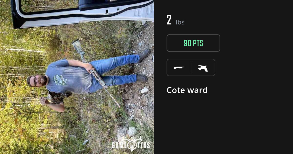 upland_bird harvest by Cote ward