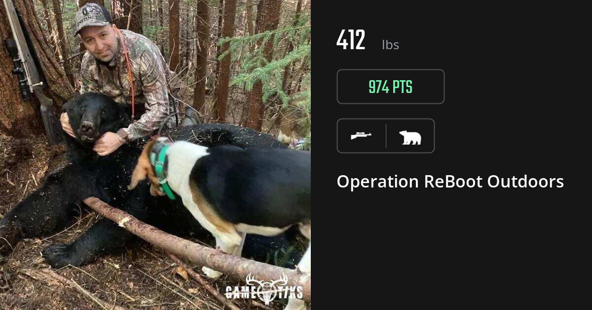 Bear harvest on Gametiks