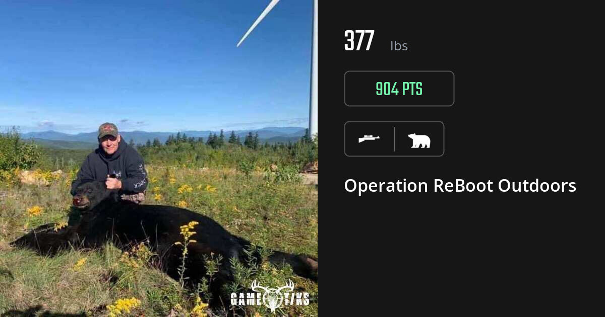 Bear harvest on Gametiks