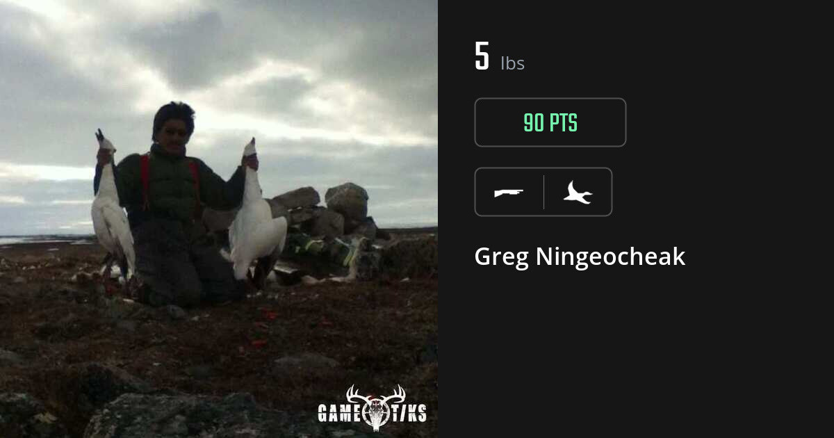 waterfowl harvest by Greg Ningeocheak