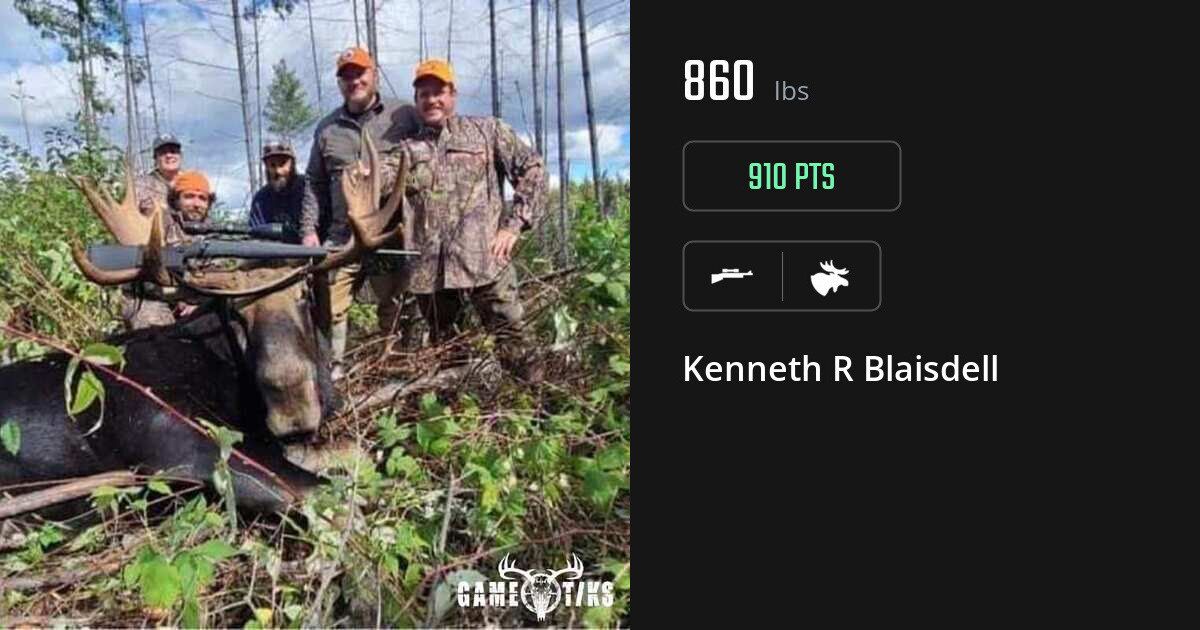 Moose harvest on Gametiks