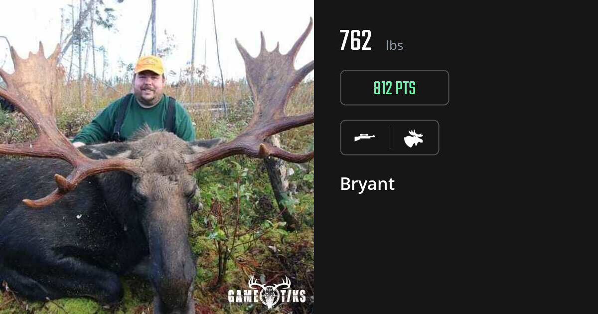 Moose harvest on Gametiks