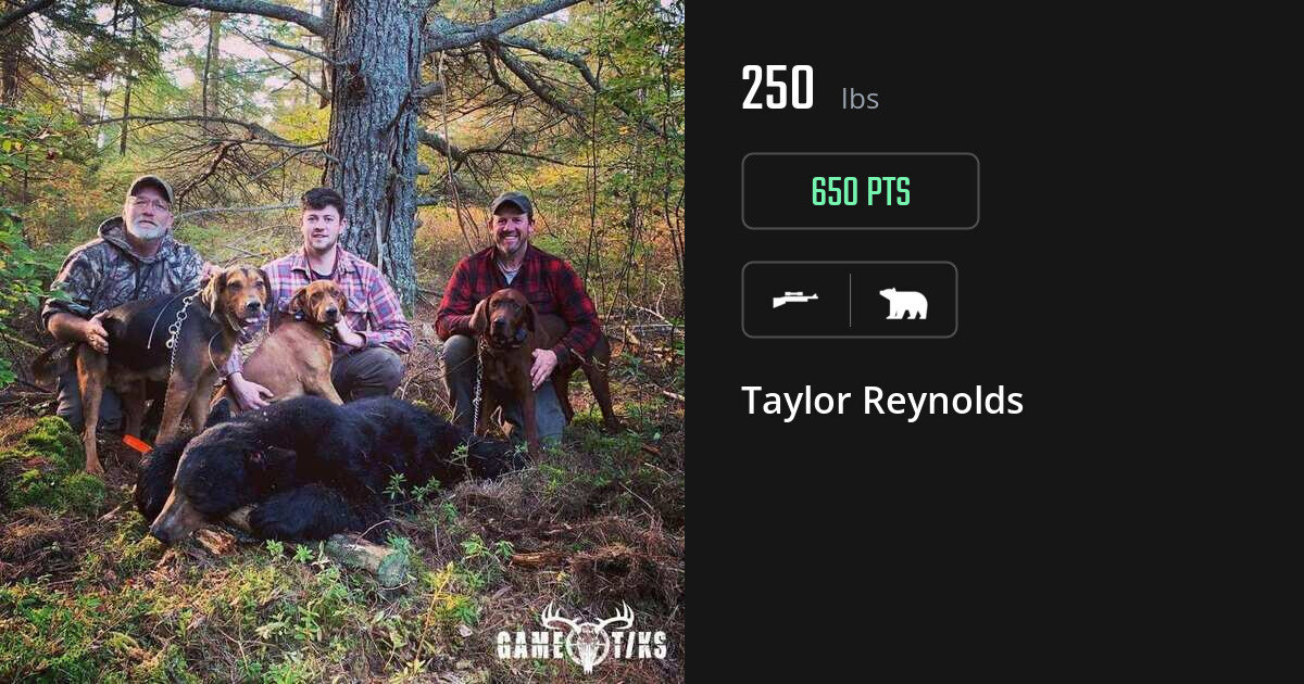 bear harvest by Taylor Reynolds