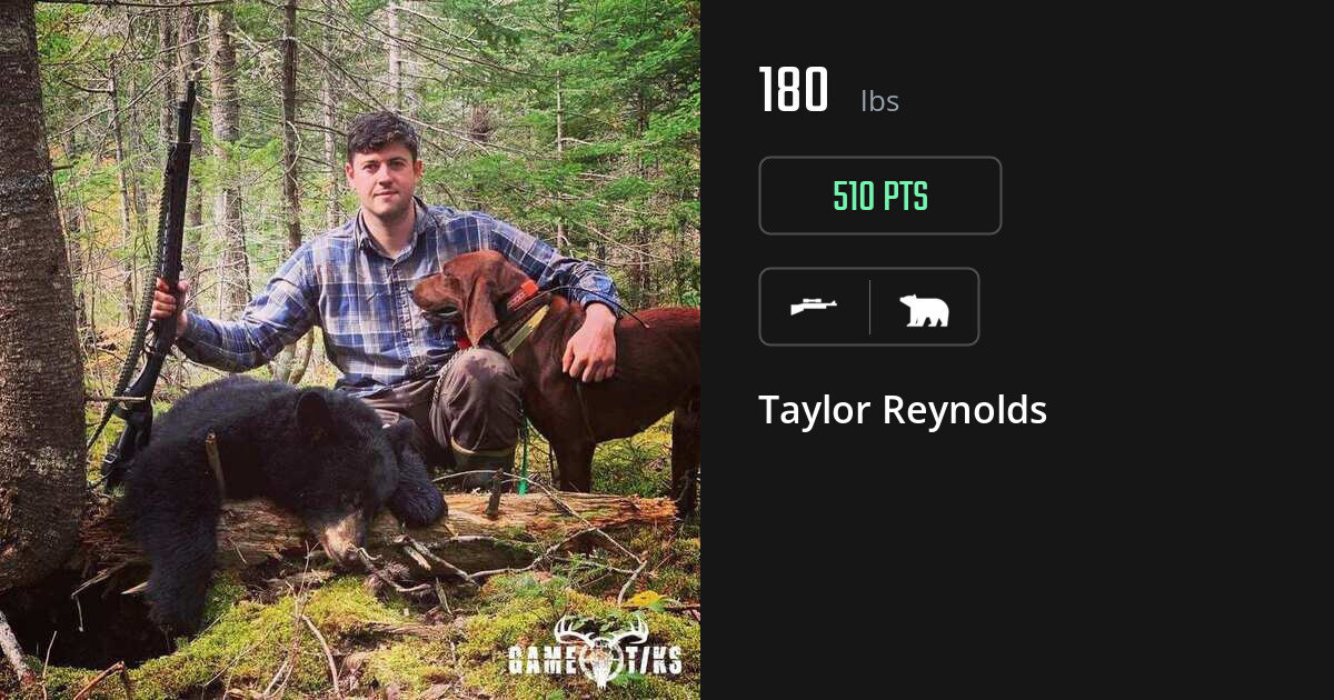 bear harvest by Taylor Reynolds