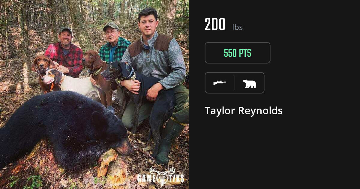 bear harvest by Taylor Reynolds