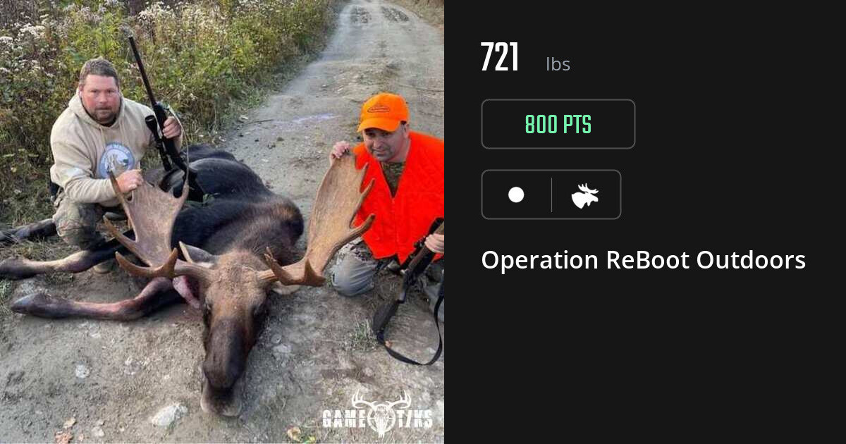 Moose harvest on Gametiks