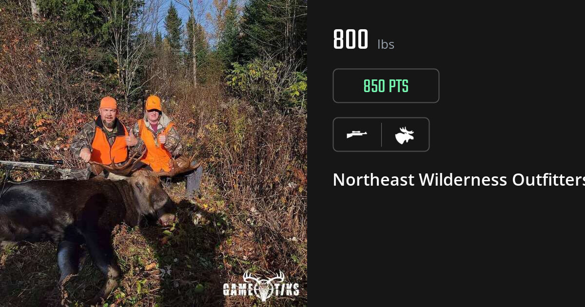 Moose harvest on Gametiks