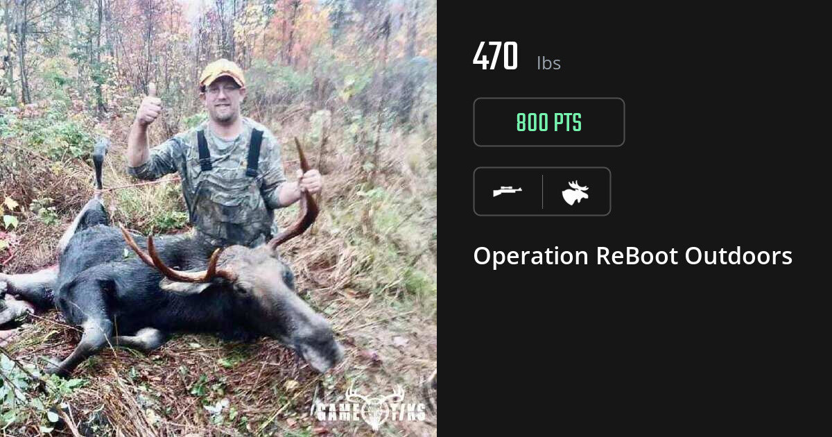 Moose harvest on Gametiks