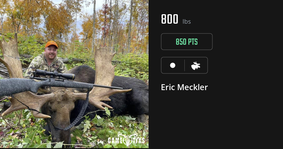moose harvest by Eric Meckler