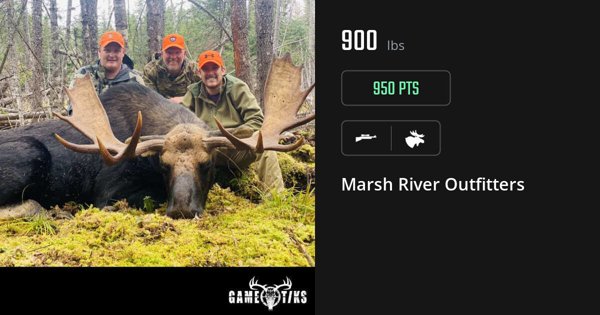 Moose harvest on Gametiks