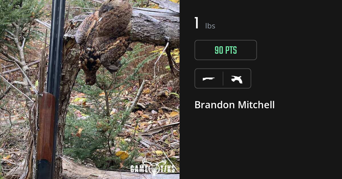 Upland bird harvest on Gametiks