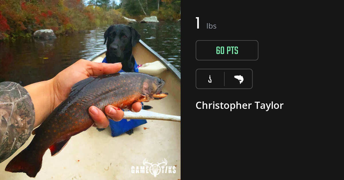 saltwater_fish harvest by Christopher Taylor