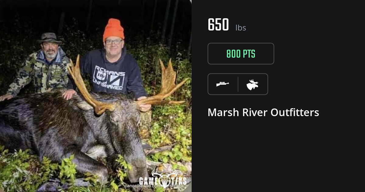 Moose harvest on Gametiks