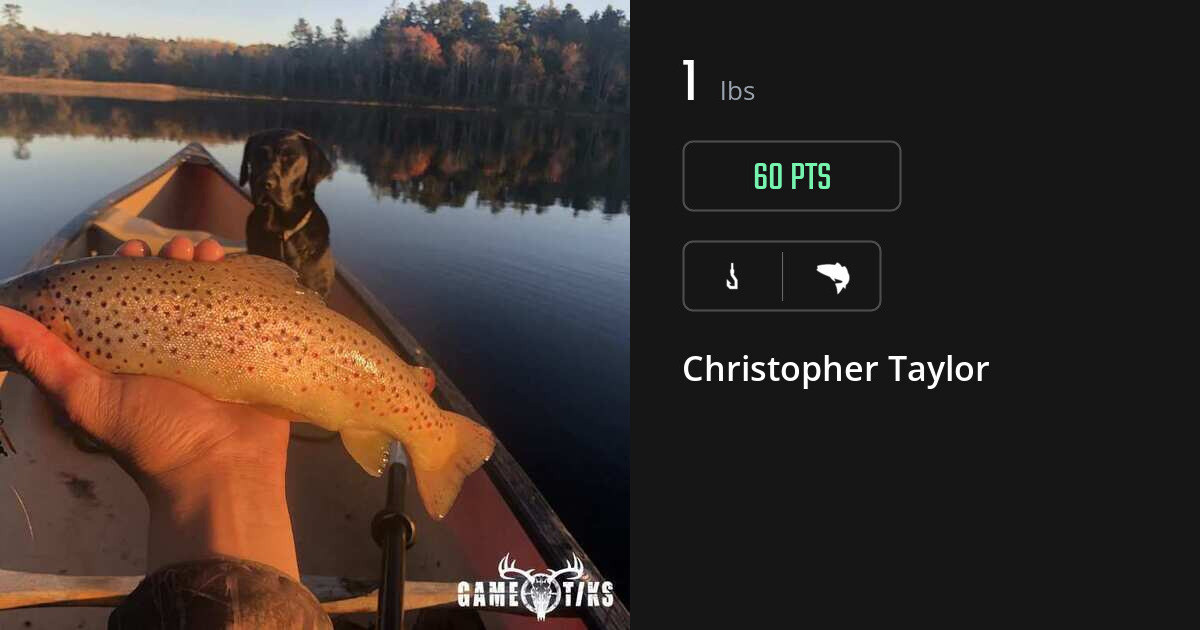 saltwater_fish harvest by Christopher Taylor
