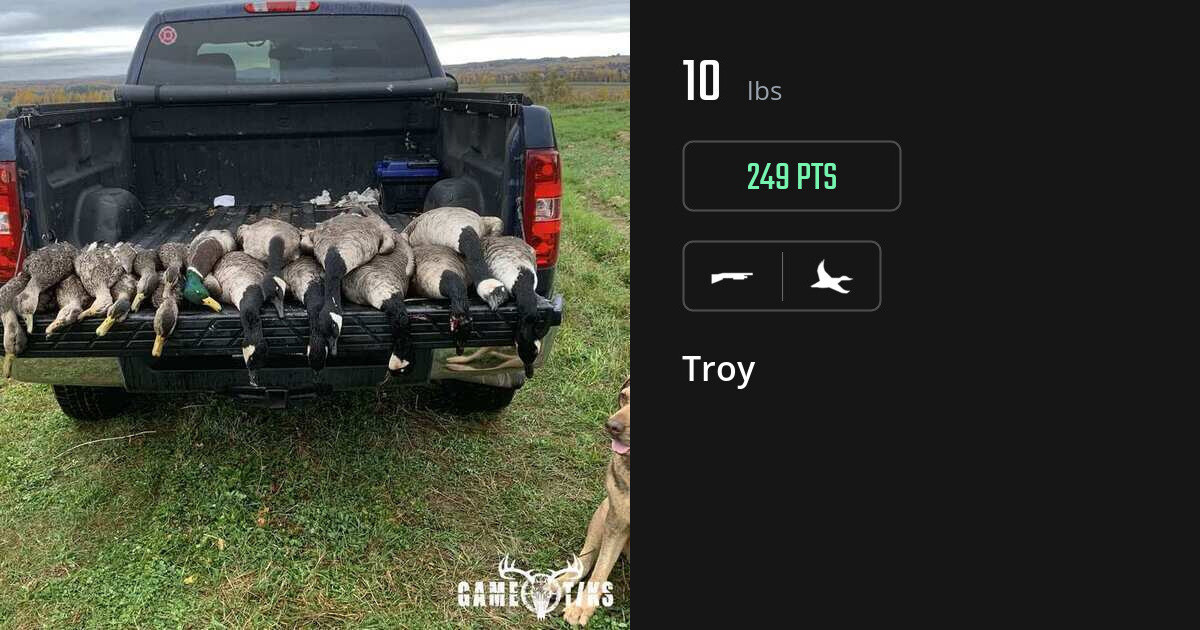 waterfowl harvest by Troy