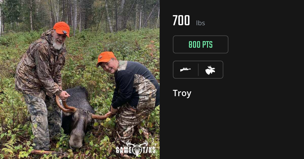 moose harvest by Troy
