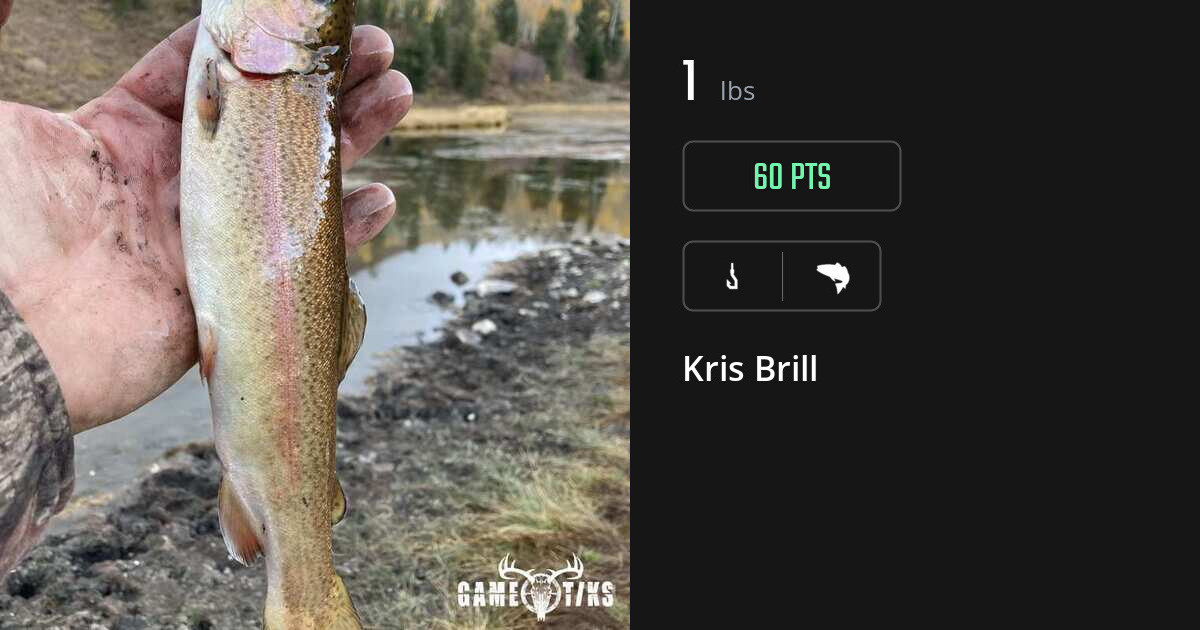 Saltwater fish harvest on Gametiks