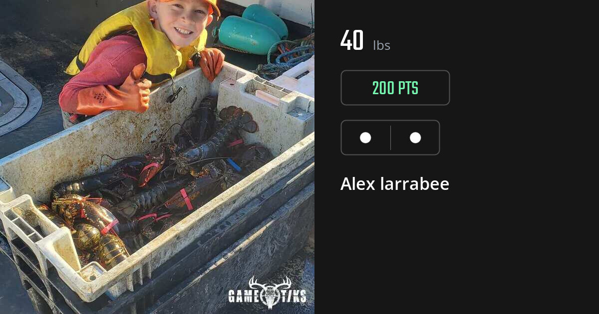 Miscellaneous harvest on Gametiks