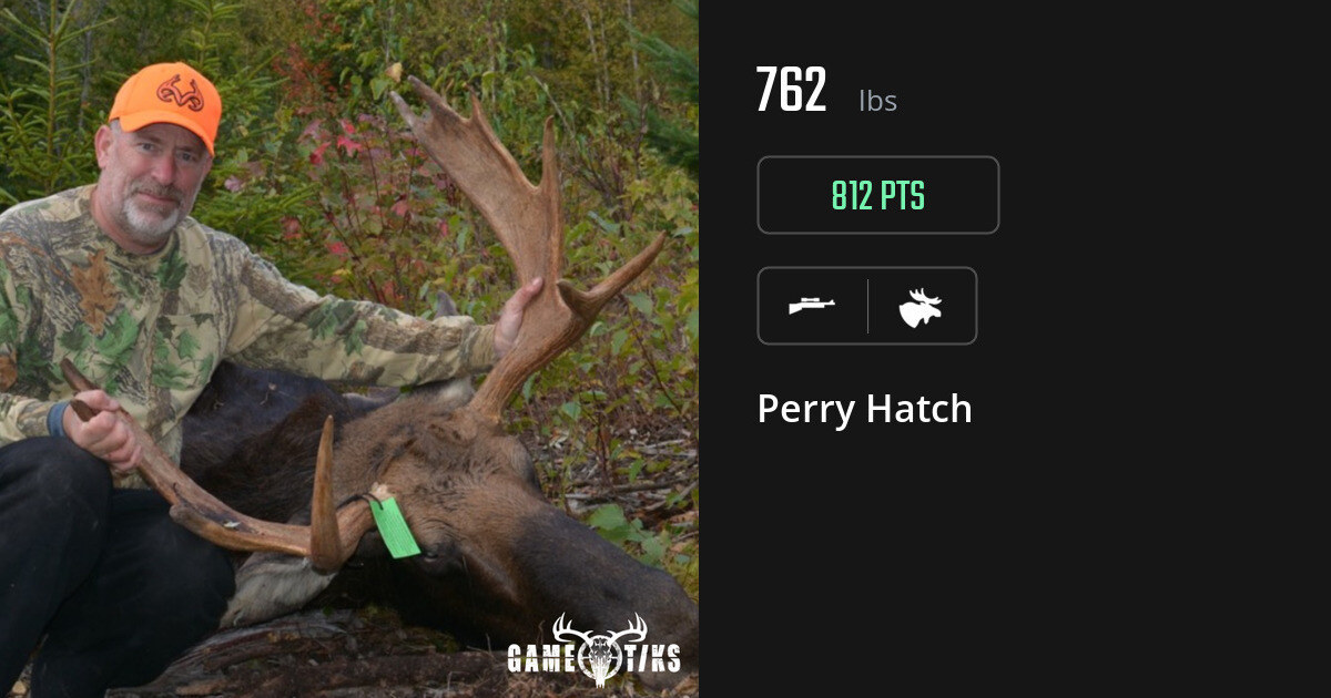 Moose harvest on Gametiks