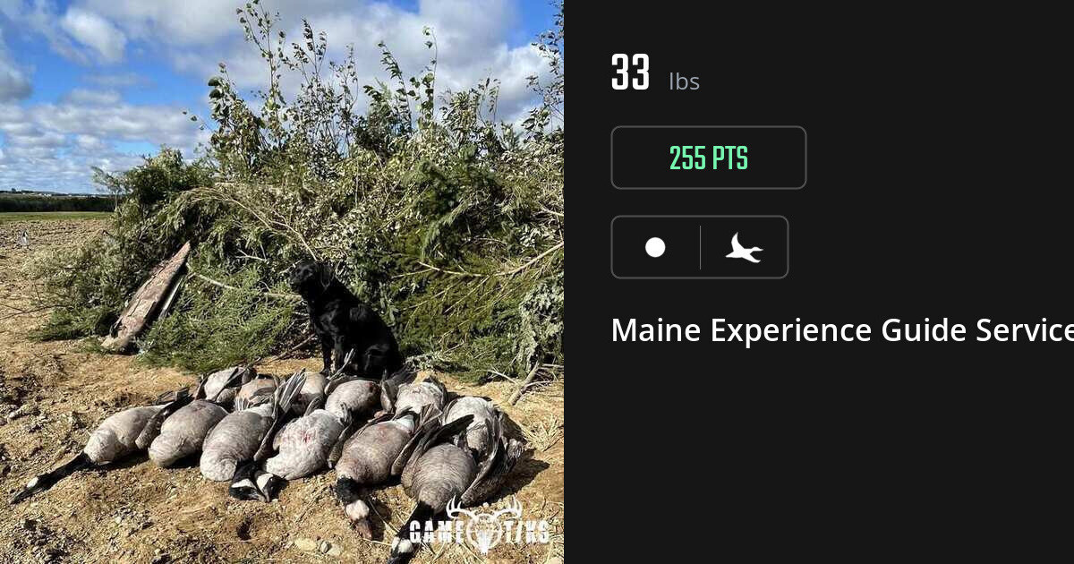 Waterfowl harvest on Gametiks