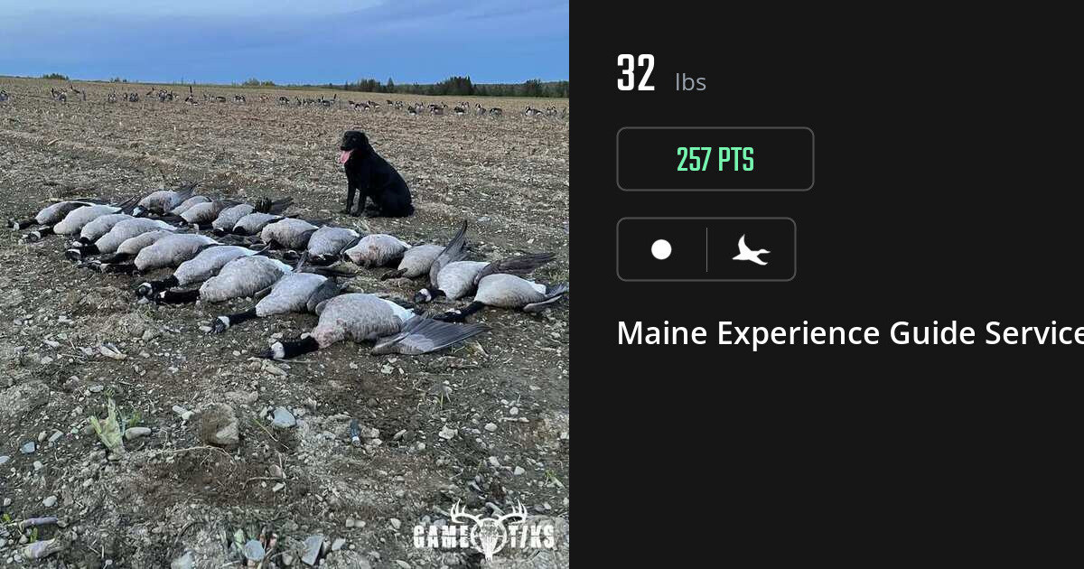 Waterfowl harvest on Gametiks