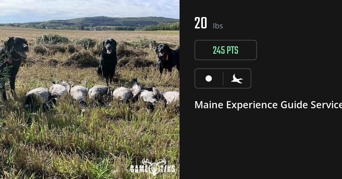 Waterfowl harvest on Gametiks