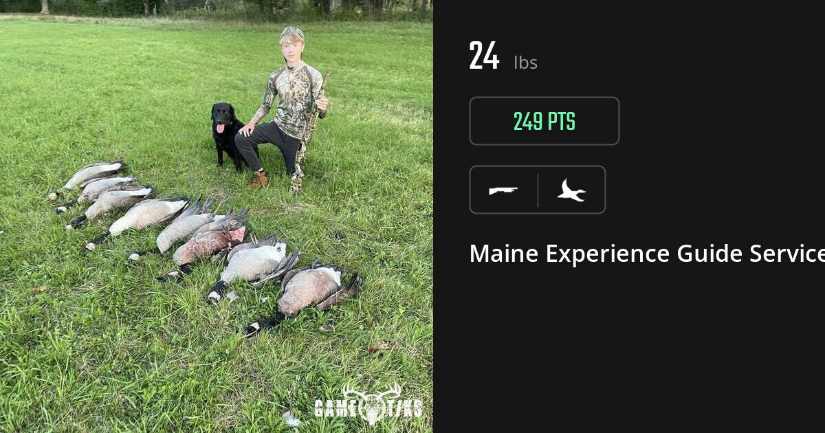 Waterfowl harvest on Gametiks