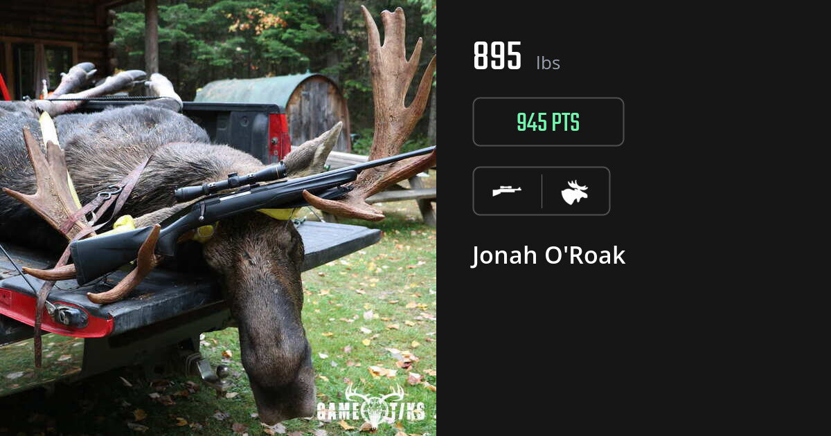 Moose harvest on Gametiks