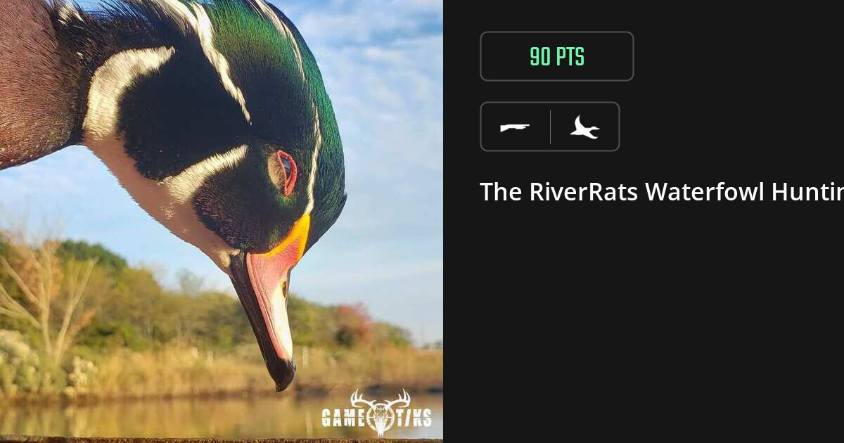 waterfowl harvest by The RiverRats Waterfowl Hunting