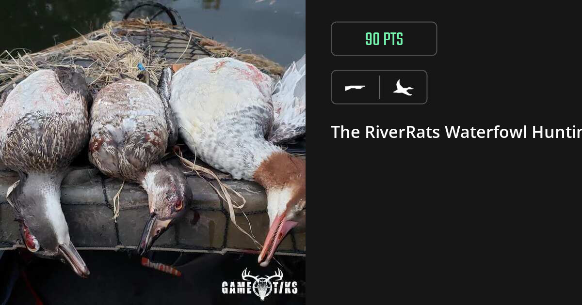 waterfowl harvest by The RiverRats Waterfowl Hunting