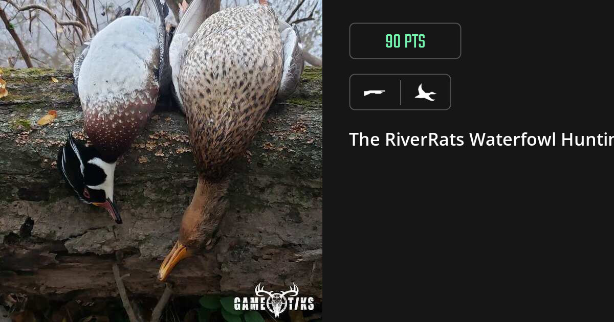 waterfowl harvest by The RiverRats Waterfowl Hunting